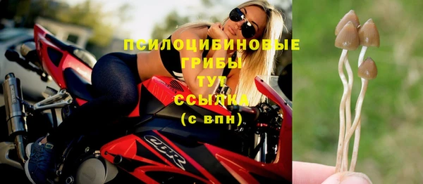 твердый Богородск
