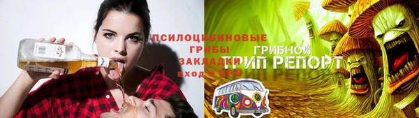 mdma Богданович