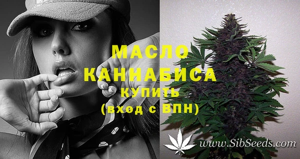 твердый Богородск