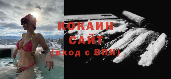 твердый Богородск