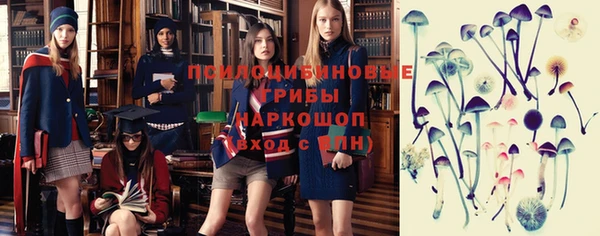 твердый Богородск