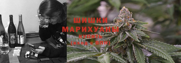 твердый Богородск